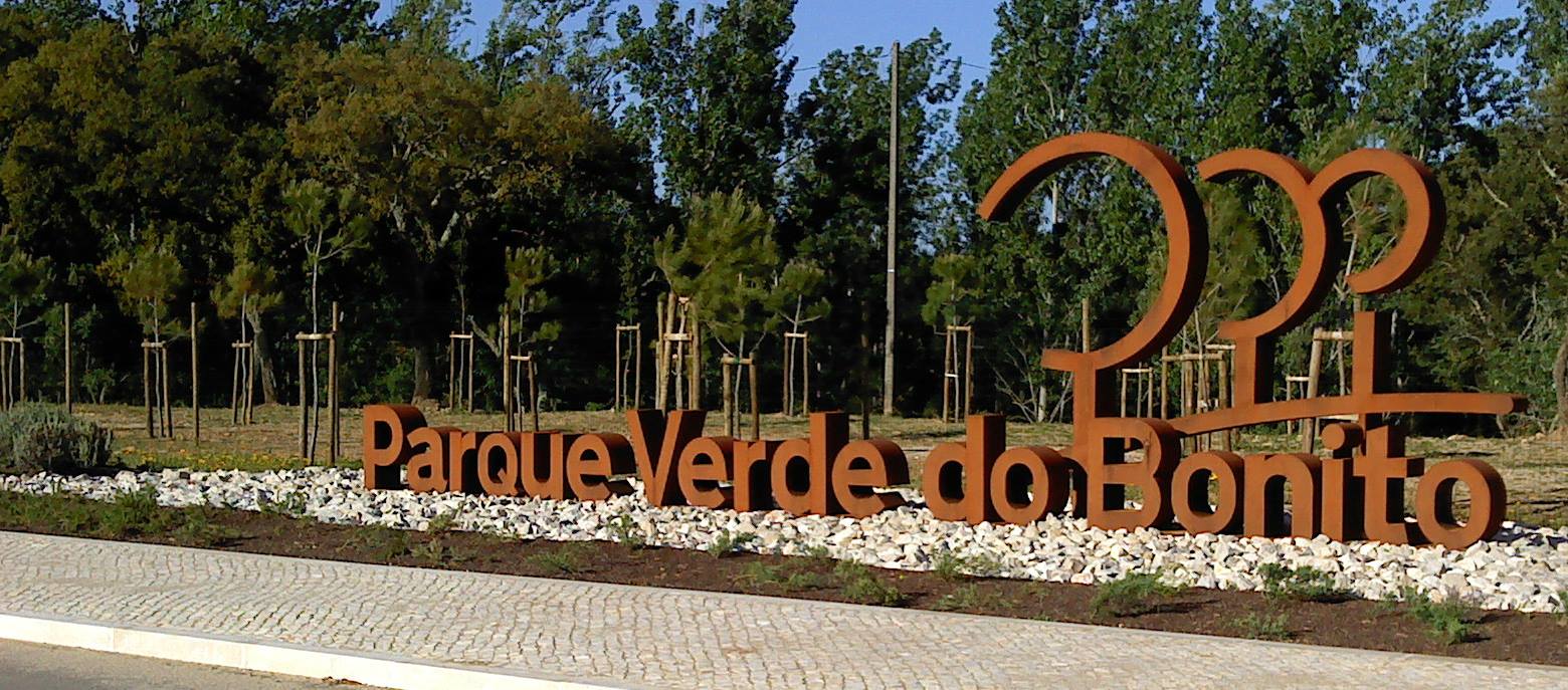 11076837 440675766094944 8697416779812582217 o