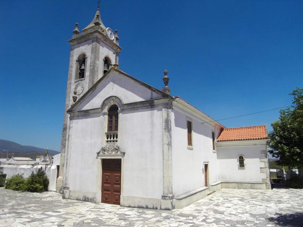 ÚLTIMA HORA: Suspeito de Coronavírus em Torres Novas 54165298