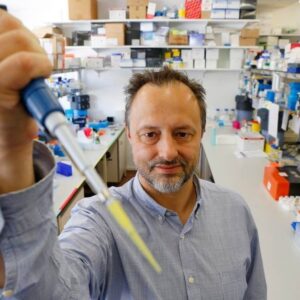 Português lidera desenvolvimento de nova vacina para malária miguel prudencio