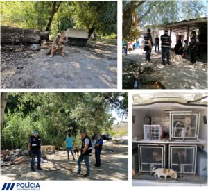Polícia entra no Flecheiro para salvar oito cães 104293244 2954876811262843 8812213922326164870 o