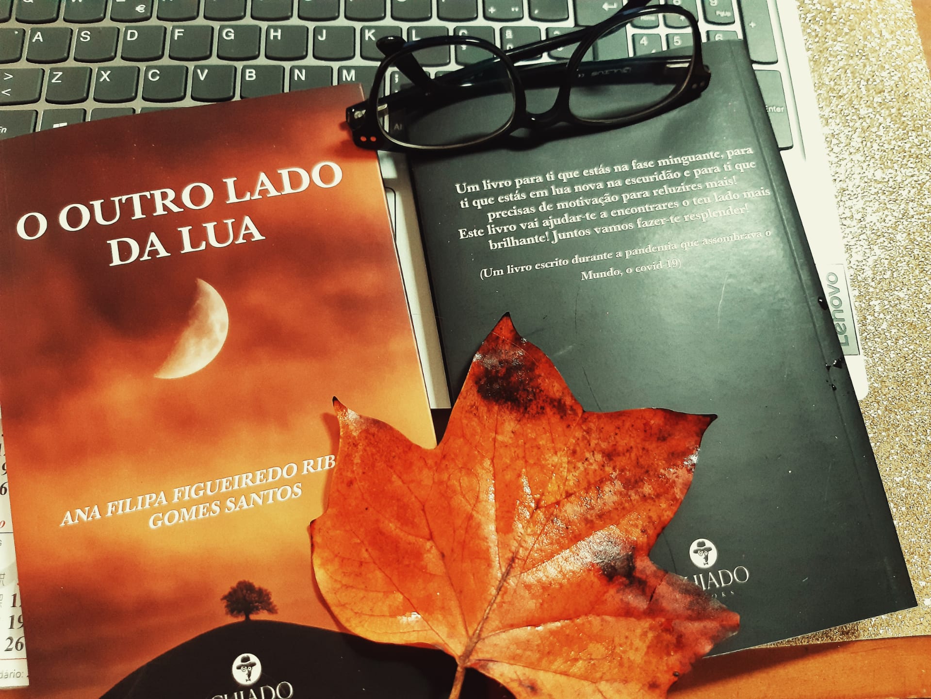 "O Outro Lado da Lua". Jovem alvaiazerense lança livro de autoajuda WhatsApp Image 2021 03 22 at 13.25.53 2
