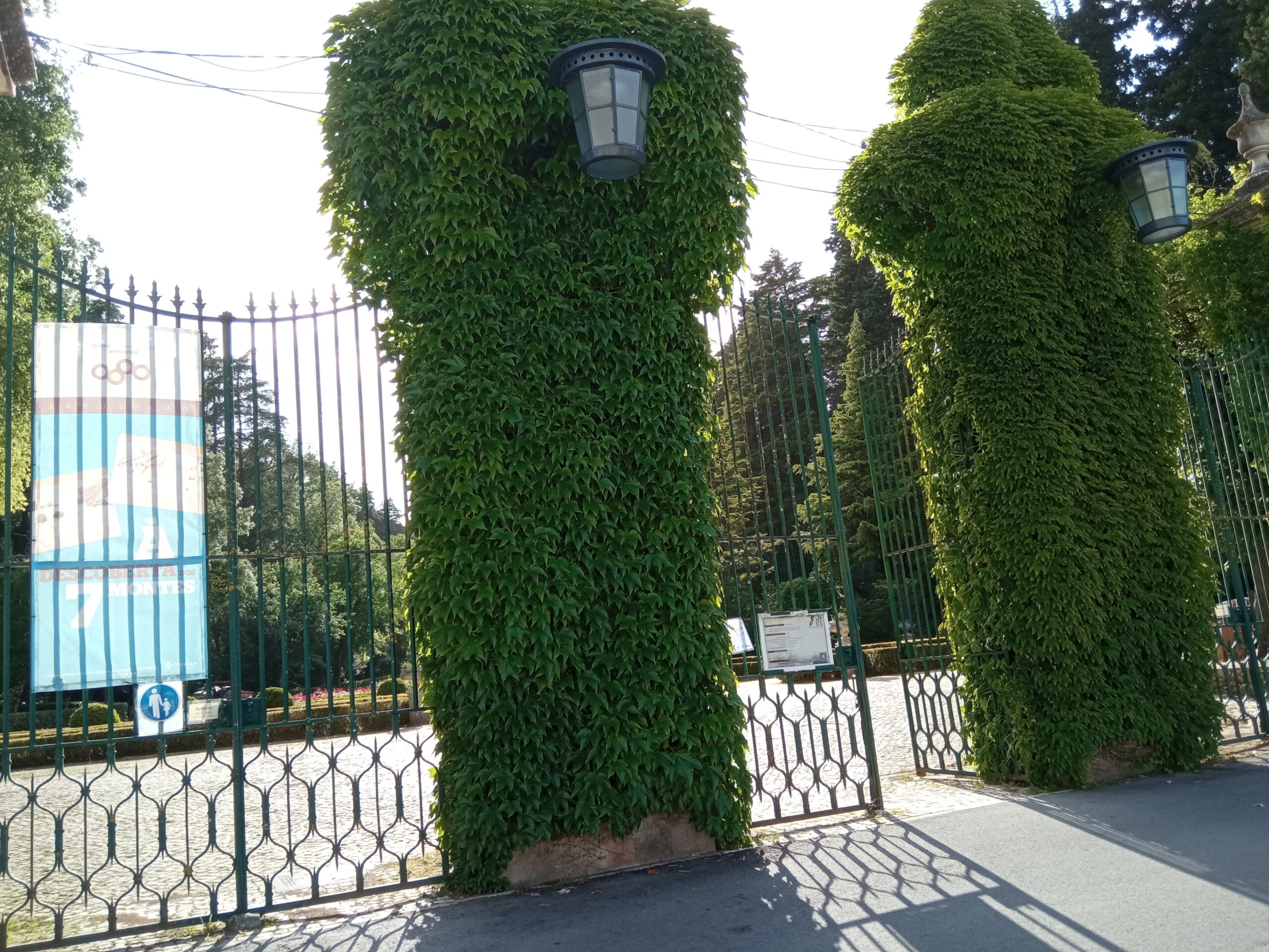 Fotogaleria. Mata dos Sete Montes, o pulmão da cidade de Tomar IMG 20210509 180216 scaled