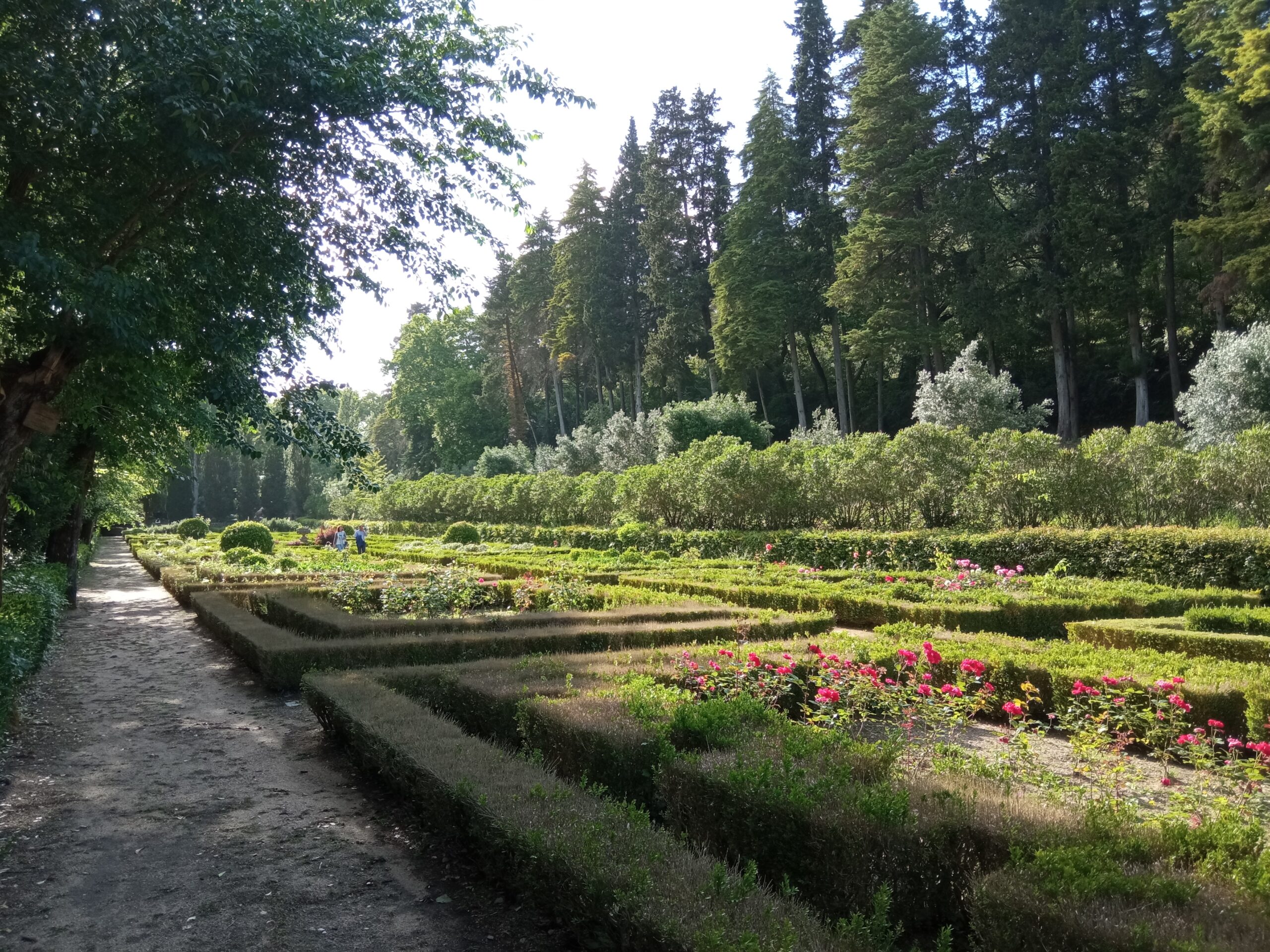 Fotogaleria. Mata dos Sete Montes, o pulmão da cidade de Tomar IMG 20210509 180322 scaled