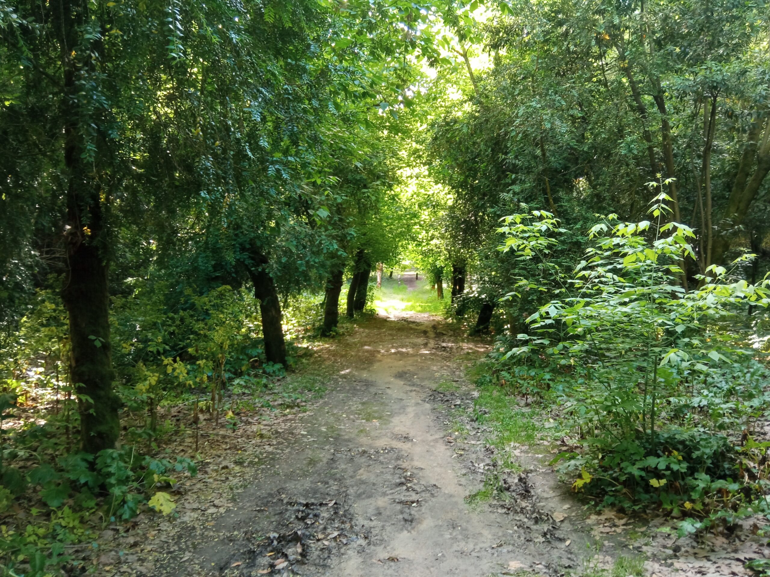 Fotogaleria. Mata dos Sete Montes, o pulmão da cidade de Tomar IMG 20210509 180732 scaled