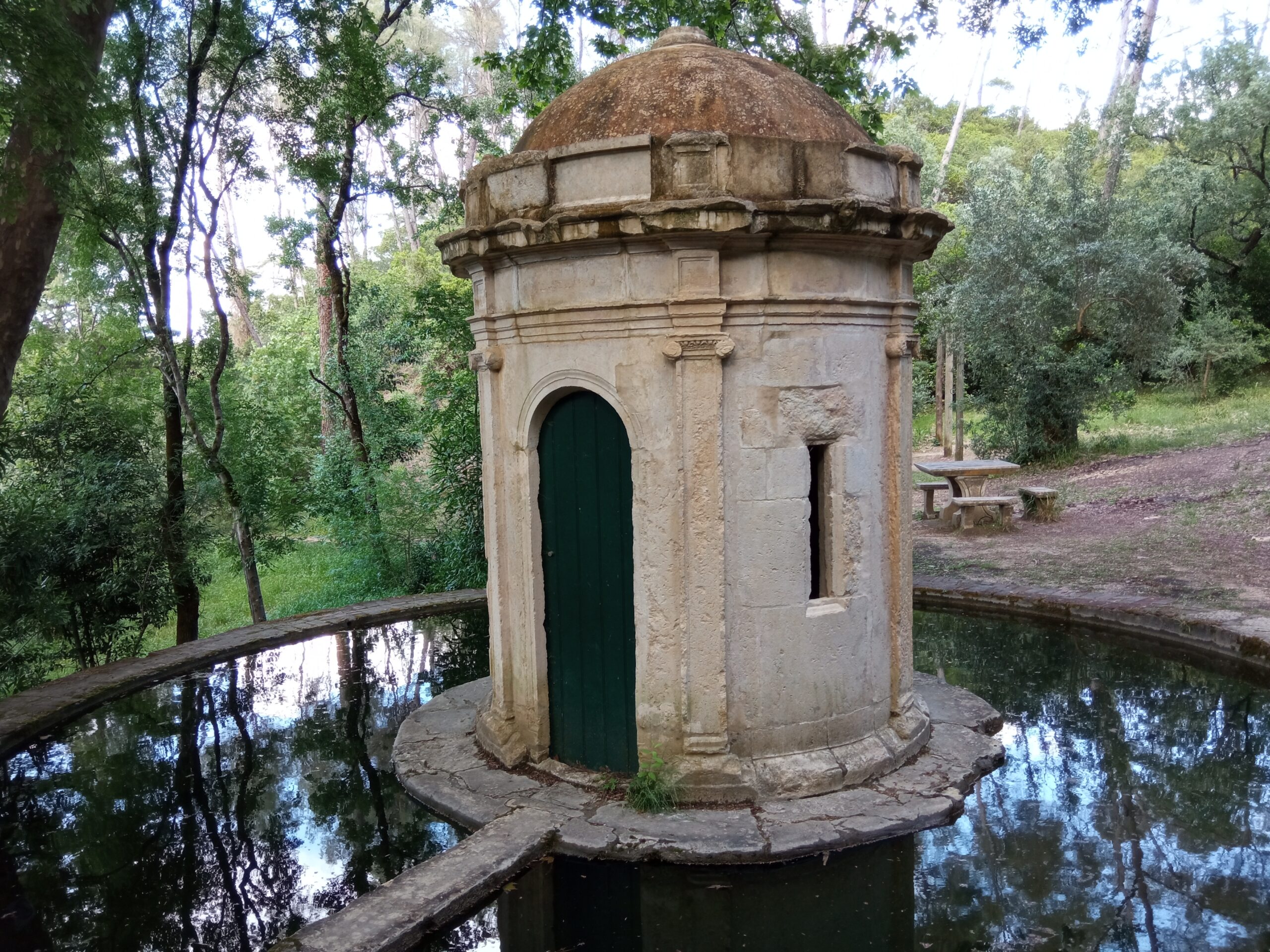 Fotogaleria. Mata dos Sete Montes, o pulmão da cidade de Tomar IMG 20210509 181701 scaled