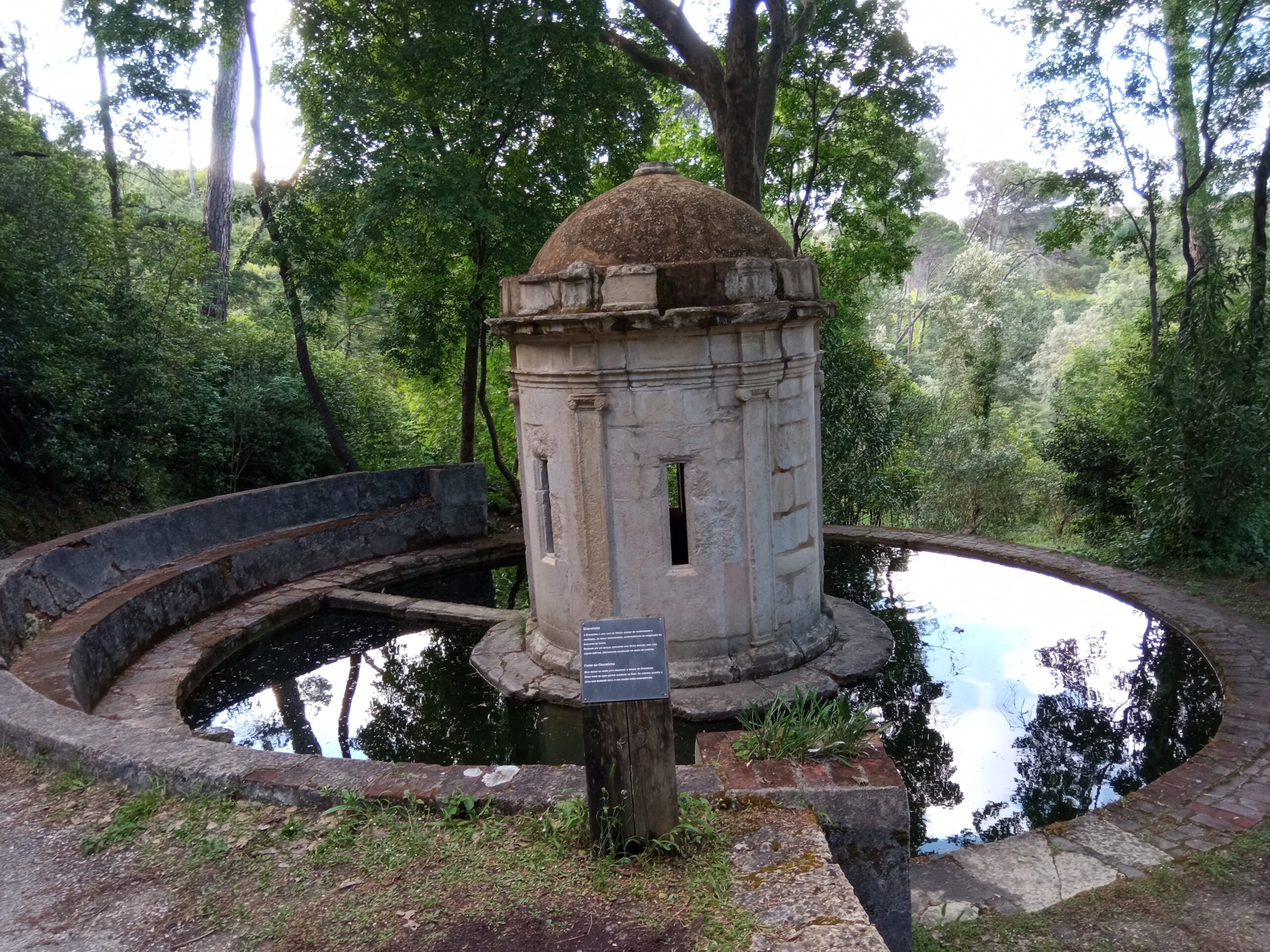 Fotogaleria. Mata dos Sete Montes, o pulmão da cidade de Tomar IMG 20210509 181819 scaled