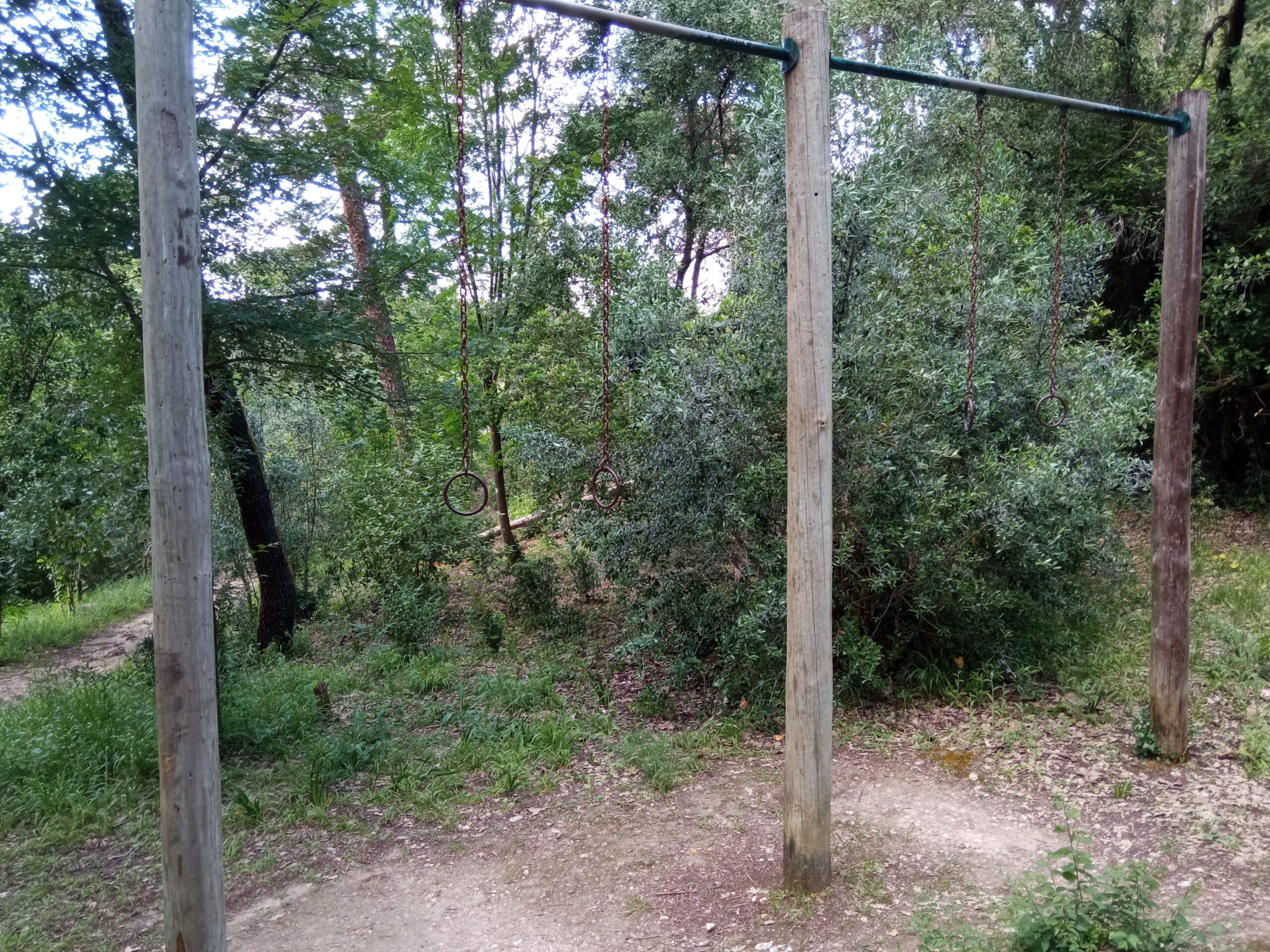 Fotogaleria. Mata dos Sete Montes, o pulmão da cidade de Tomar IMG 20210509 181913 scaled