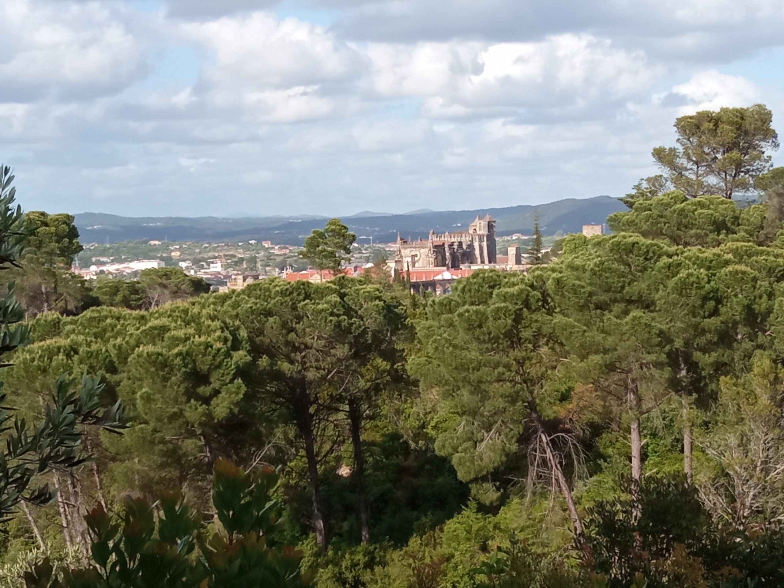 Fotogaleria. Mata dos Sete Montes, o pulmão da cidade de Tomar IMG 20210509 182535 scaled