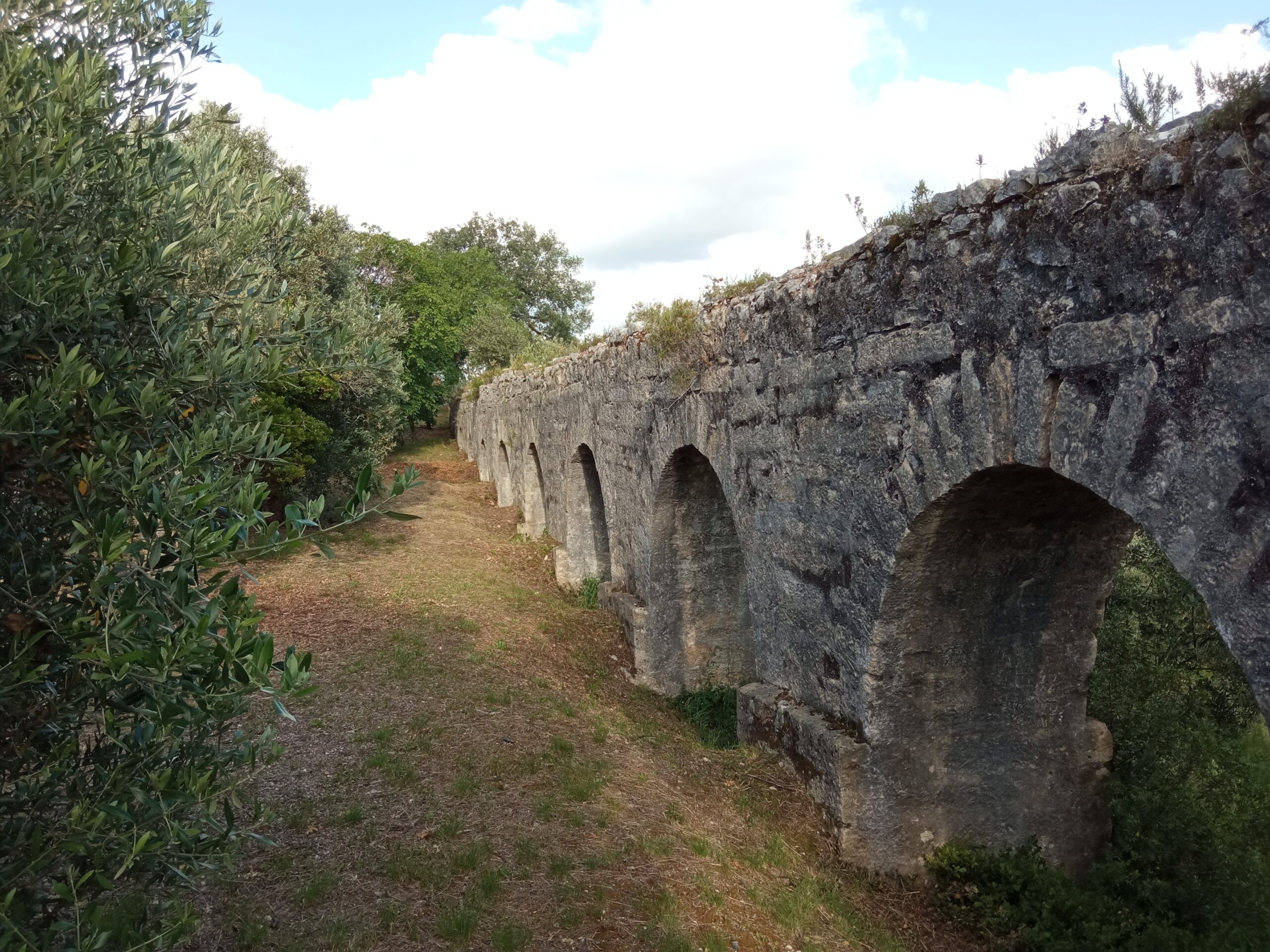 Fotogaleria. Mata dos Sete Montes, o pulmão da cidade de Tomar IMG 20210509 183629 scaled