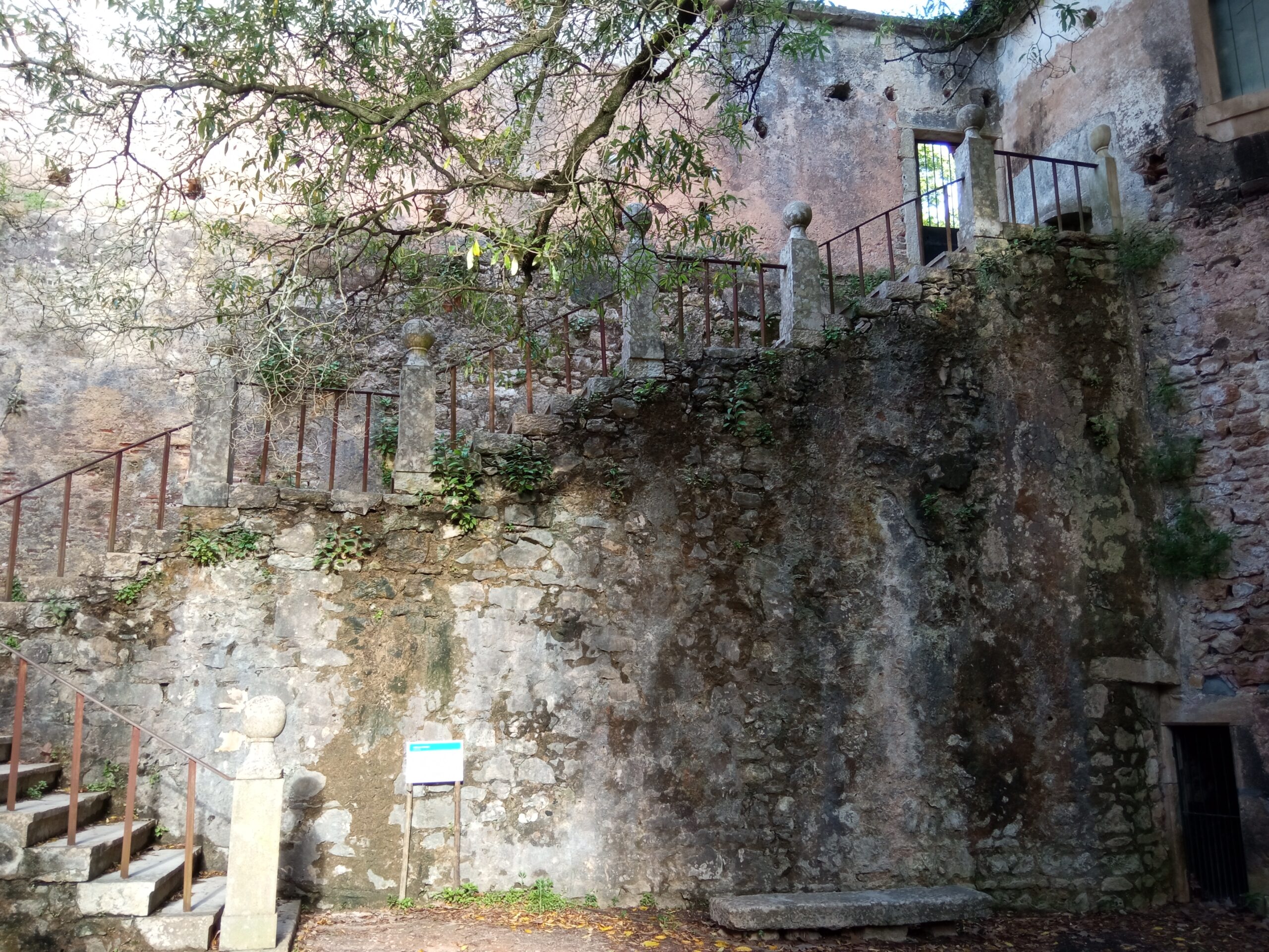 Fotogaleria. Mata dos Sete Montes, o pulmão da cidade de Tomar IMG 20210509 184241 scaled