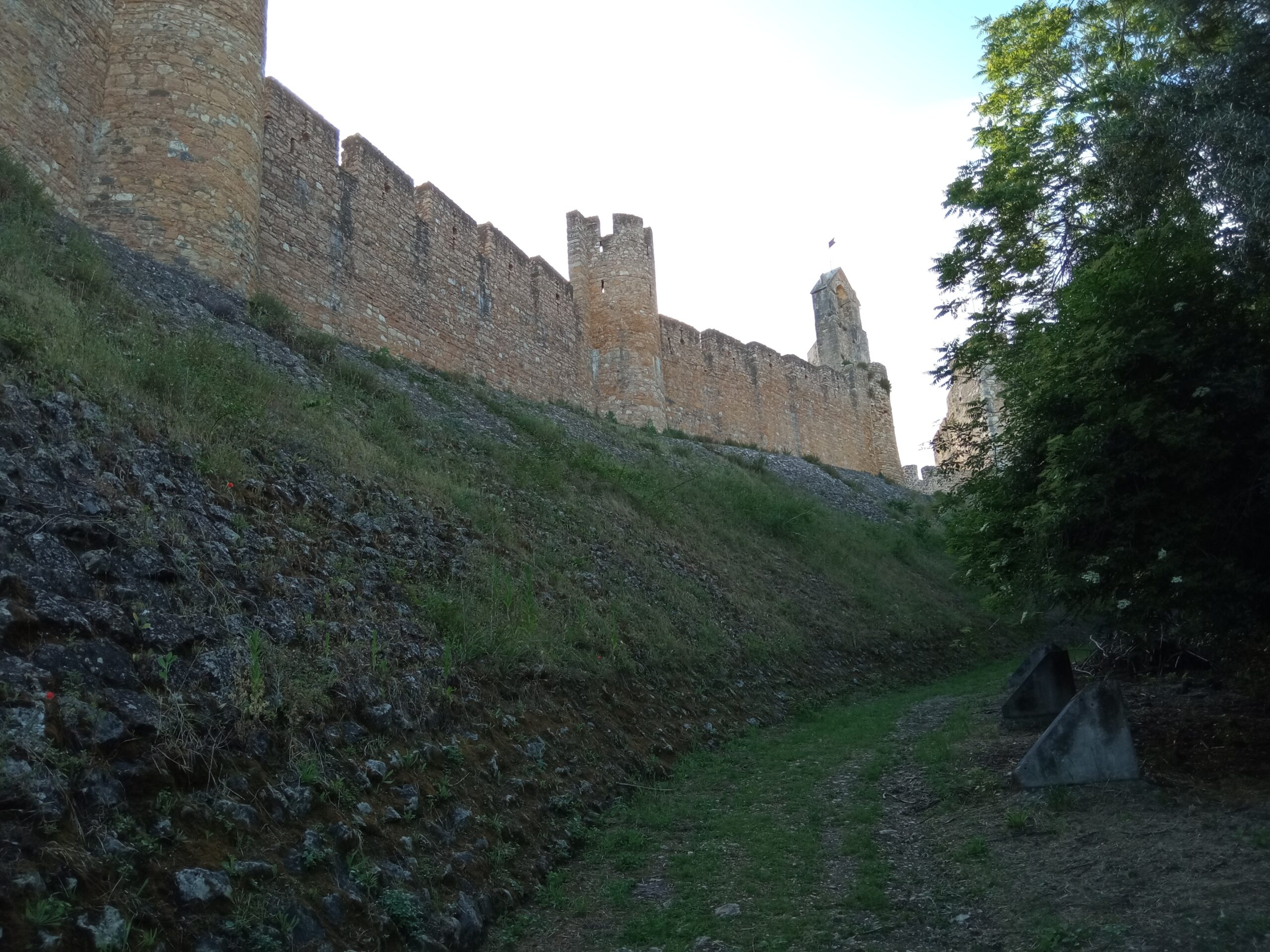 Fotogaleria. Mata dos Sete Montes, o pulmão da cidade de Tomar IMG 20210509 184736 scaled