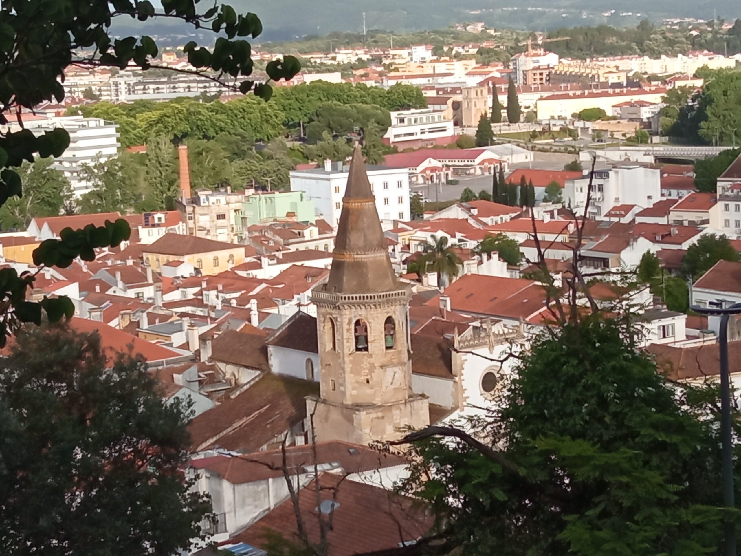 Fotogaleria. Mata dos Sete Montes, o pulmão da cidade de Tomar IMG 20210509 185029 scaled