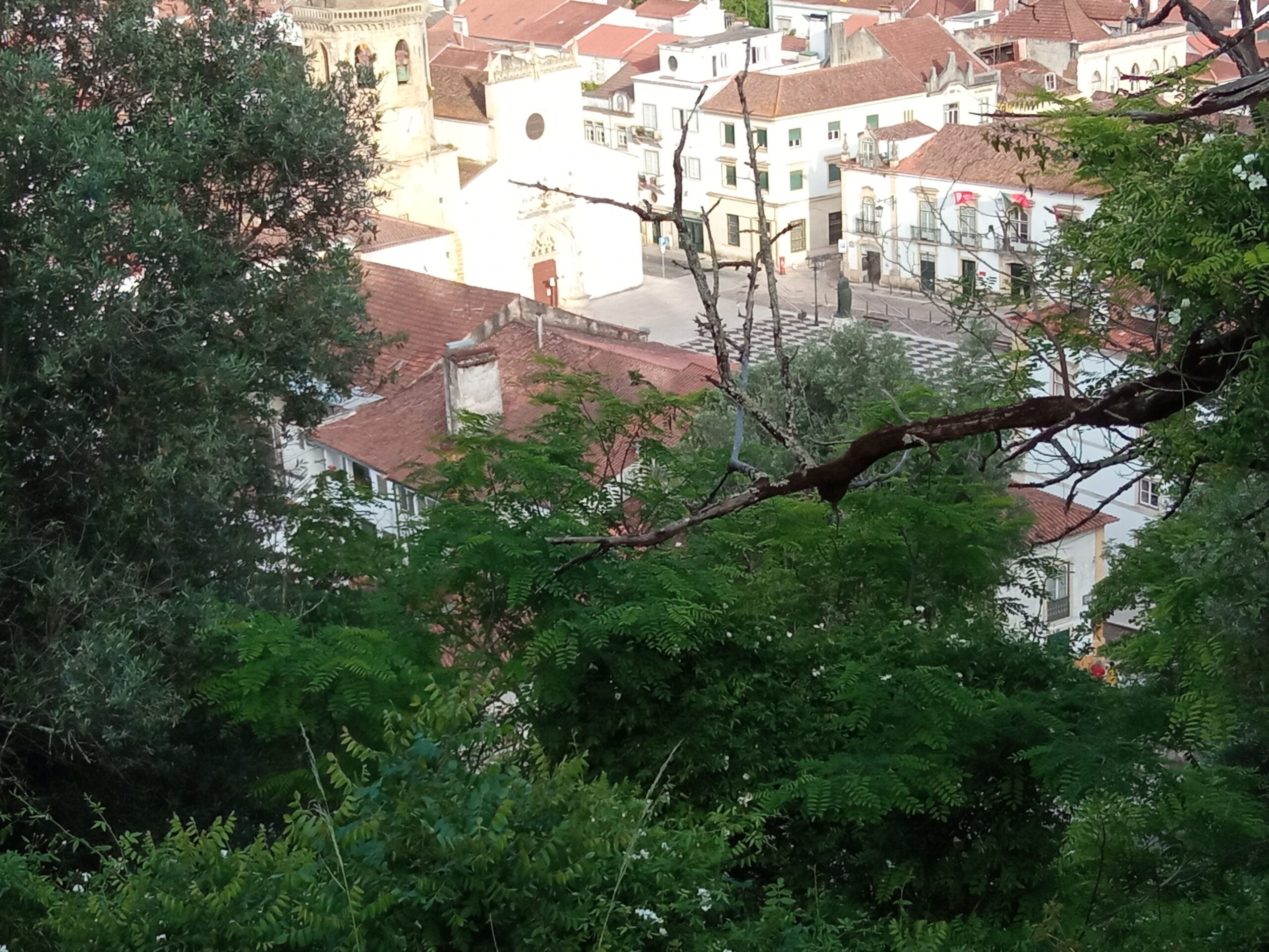 Fotogaleria. Mata dos Sete Montes, o pulmão da cidade de Tomar IMG 20210509 185120 scaled