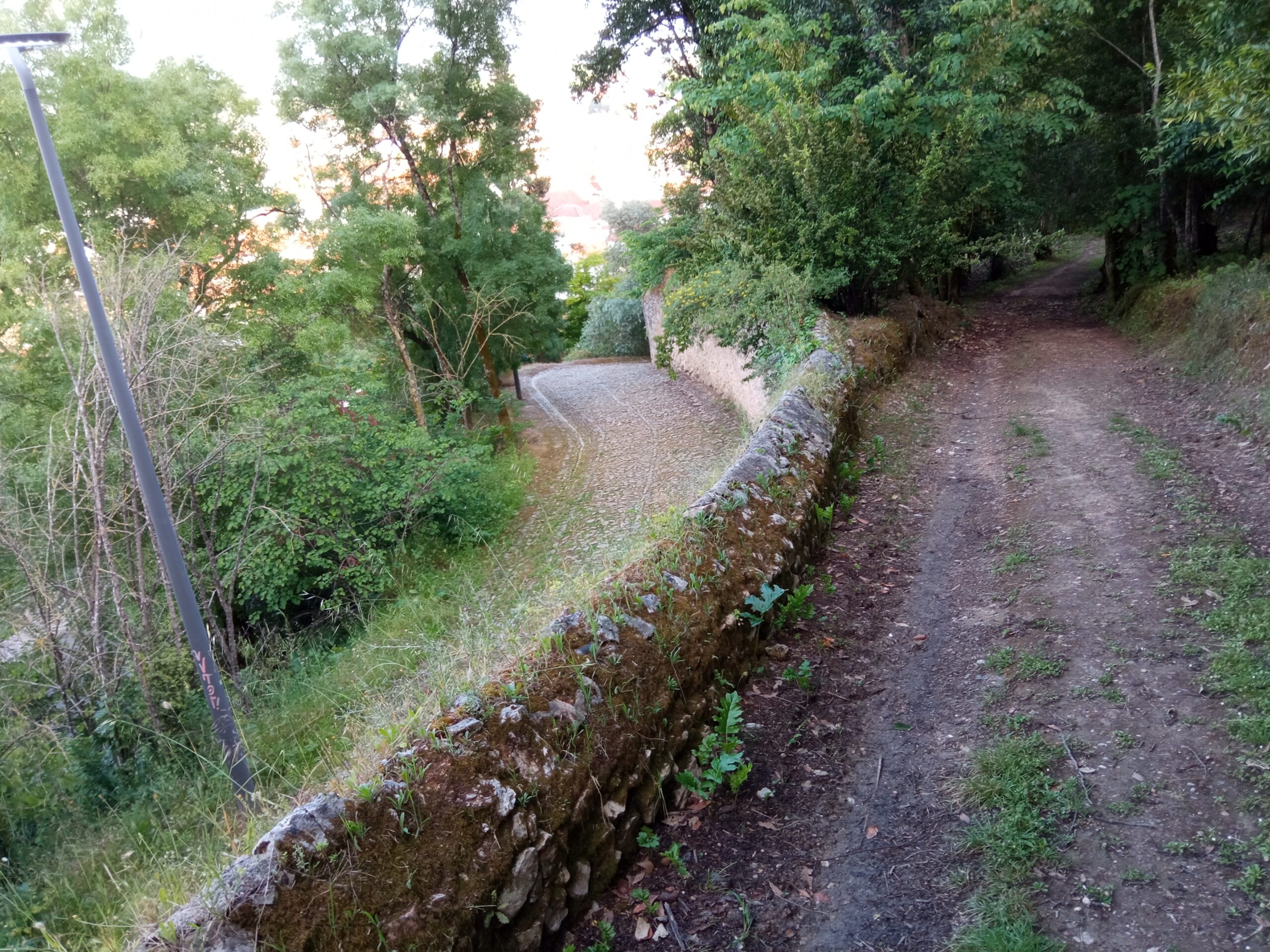 Fotogaleria. Mata dos Sete Montes, o pulmão da cidade de Tomar IMG 20210509 185218 scaled