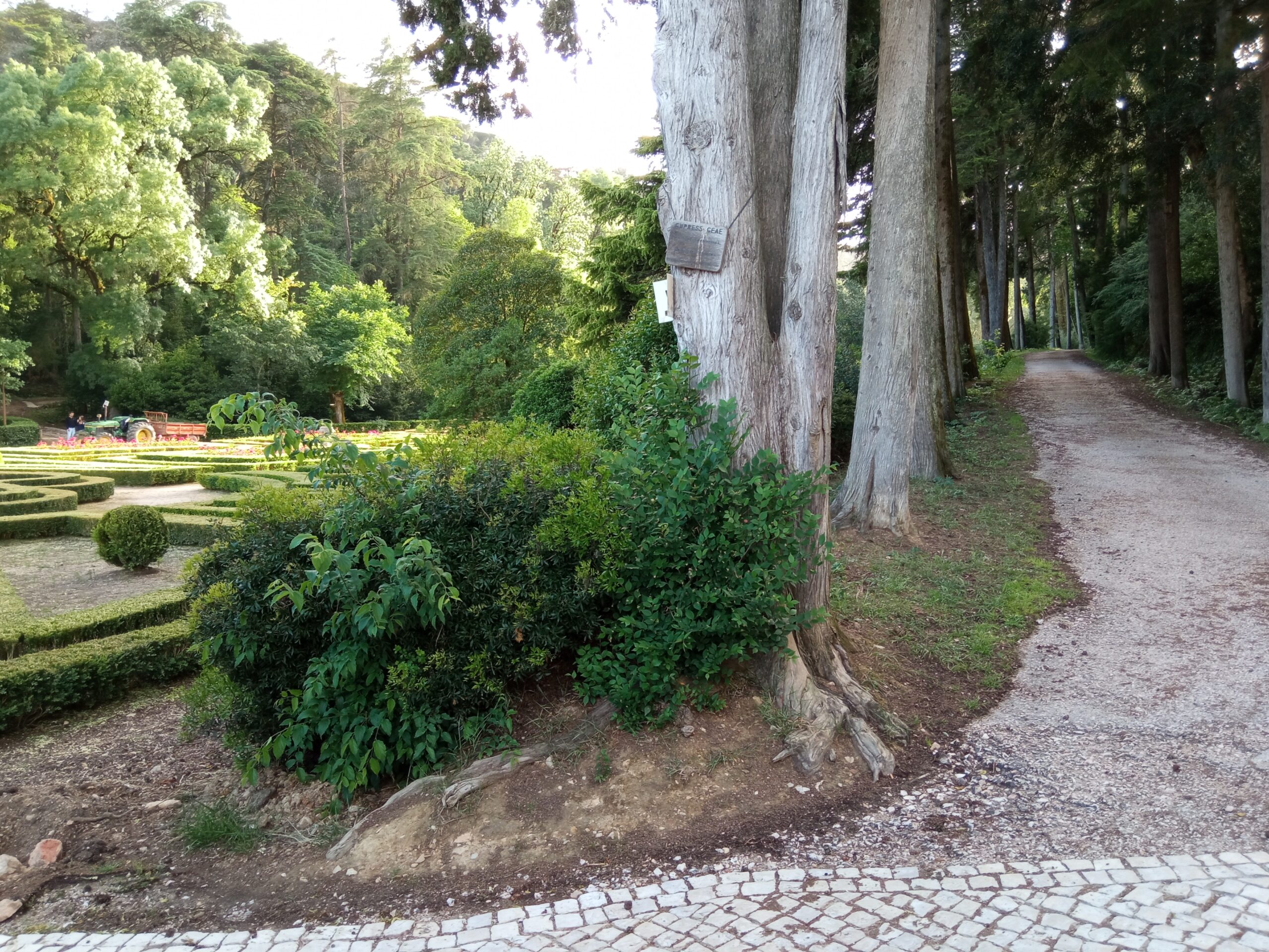 Fotogaleria. Mata dos Sete Montes, o pulmão da cidade de Tomar IMG 20210509 185704 scaled