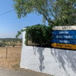 IMG 0879
